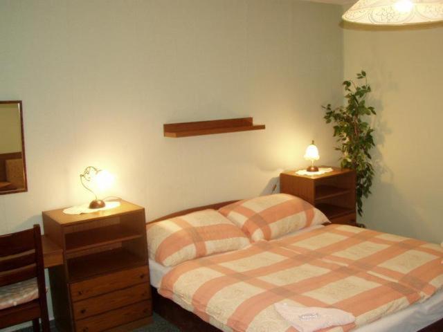 Pension Sparta Prag Oda fotoğraf